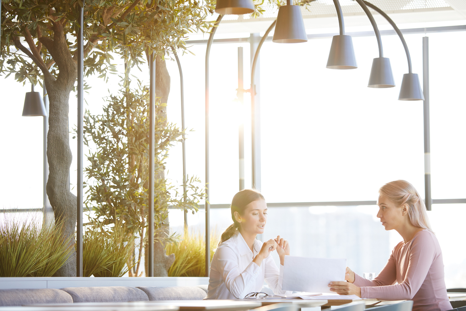 Two women sitting across from each other at a table in a sunlit office lounge with large plants, reviewing a printed document together.