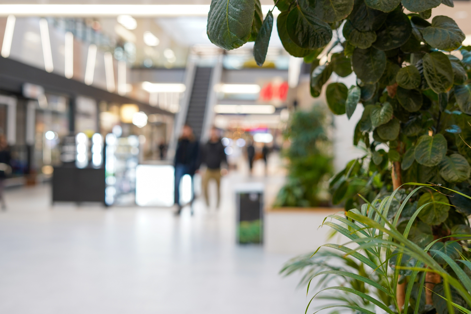 The interior of a shopping centre, softly blurred, with shoppers walking near an escalator and green leafy plants in sharp focus in the foreground.