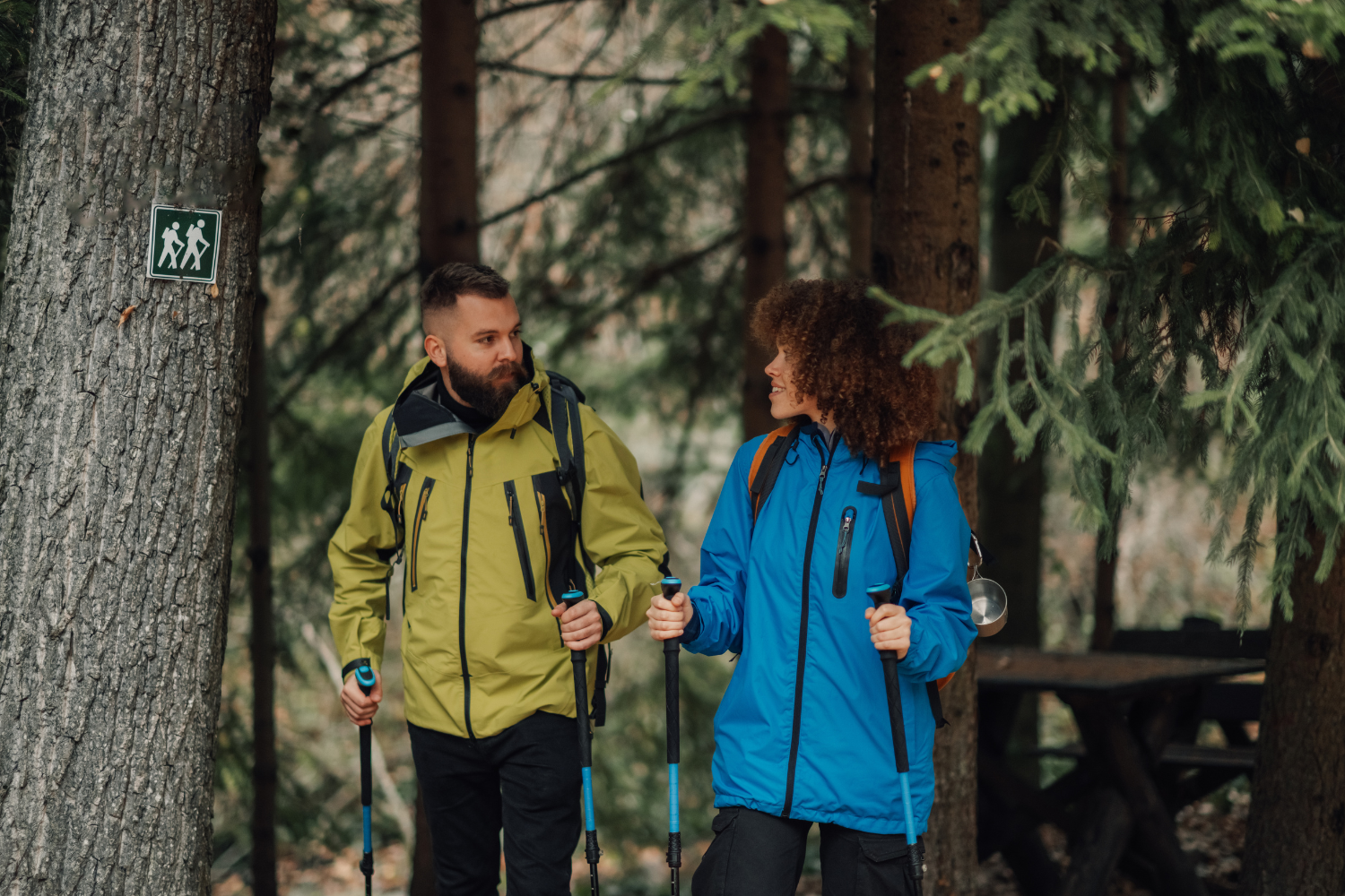 Hikers in woodland