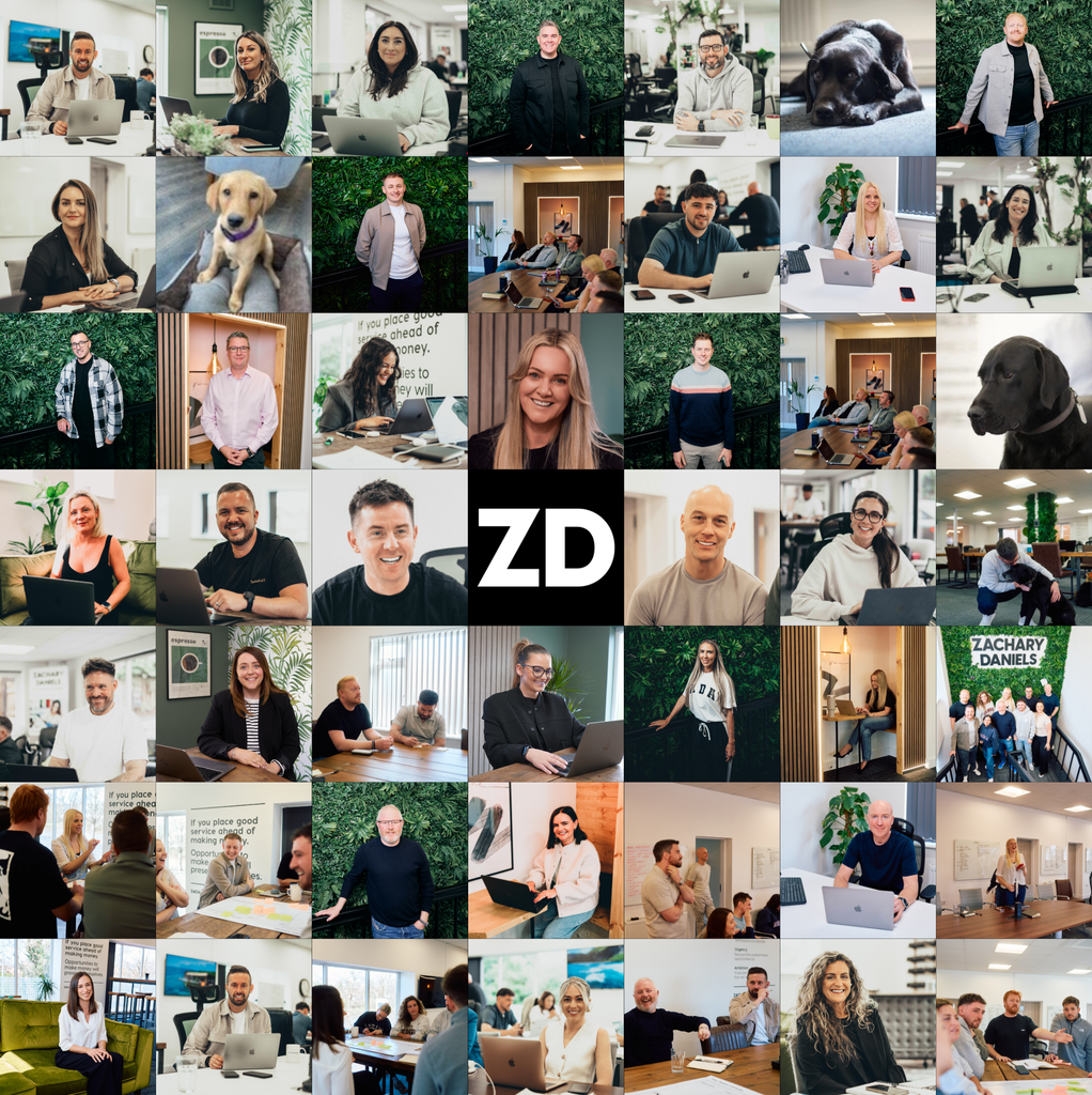 Team ZD Collage